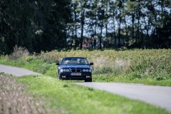 Z63_6266-groot