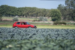 Z63_7505-groot