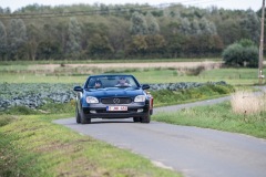 Z63_7626-groot