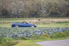 Z63_7696-groot